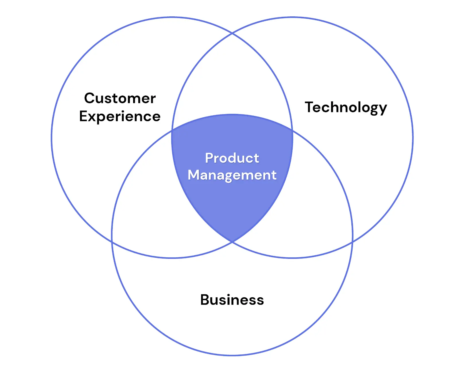 what is project management